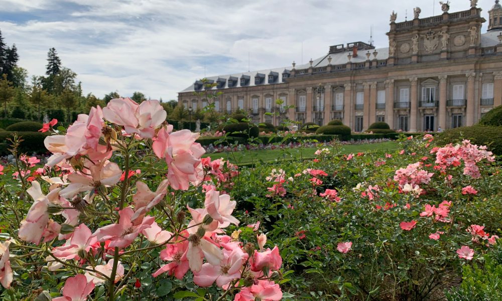 Flores palacio jardin
