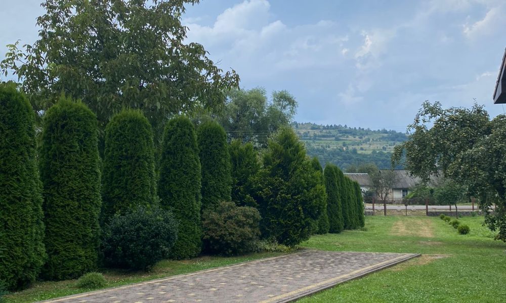 Jardin cesped paisaje nubes