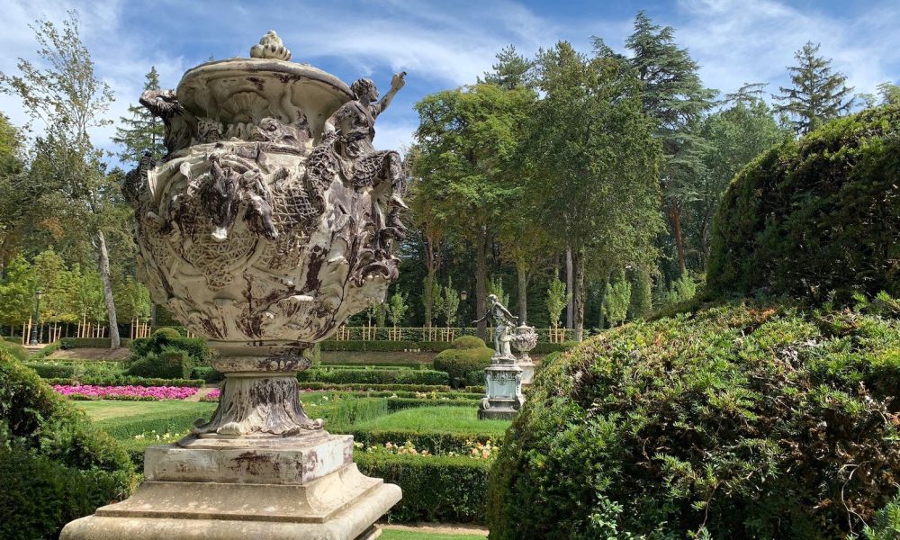 Jardin jarron vista