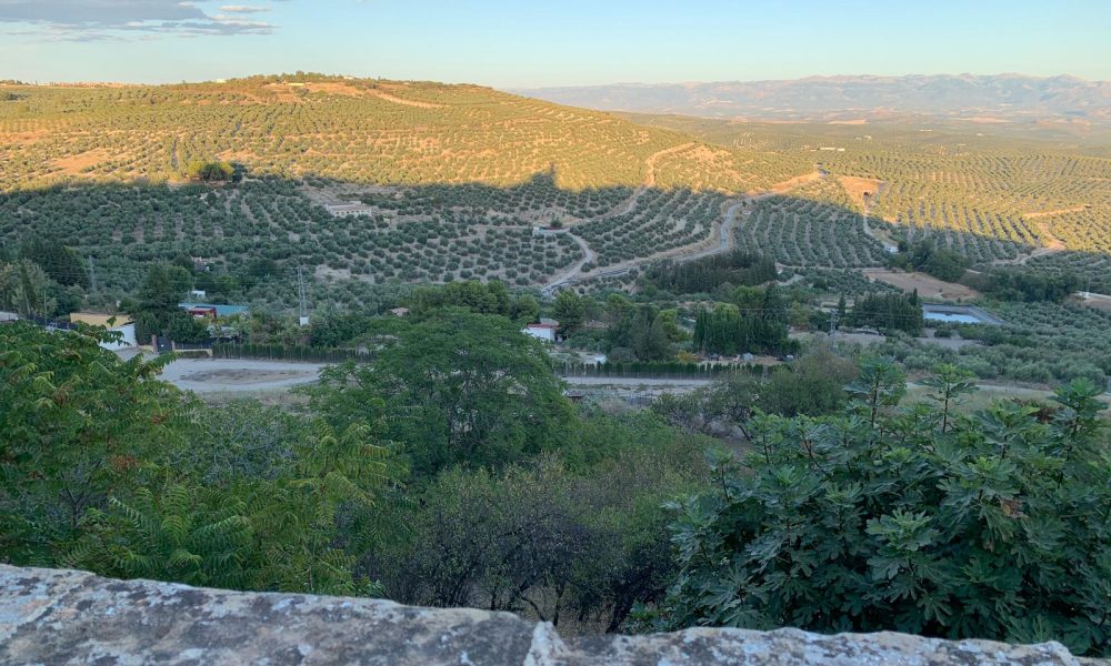 Ubeda mirador sierra