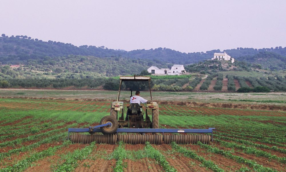 agricultor campo