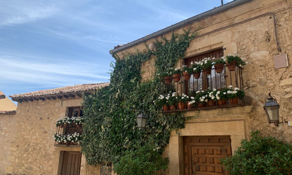 casa macetas