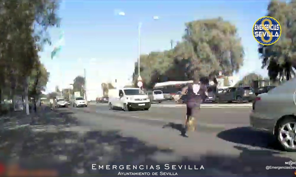 detenido sevilla