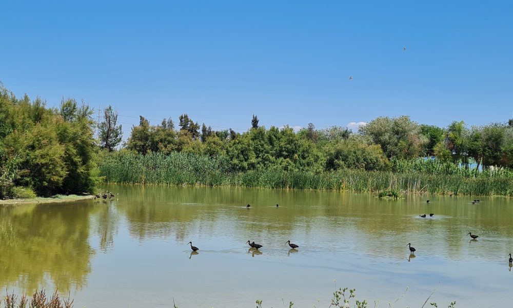 laguna fuente del rey