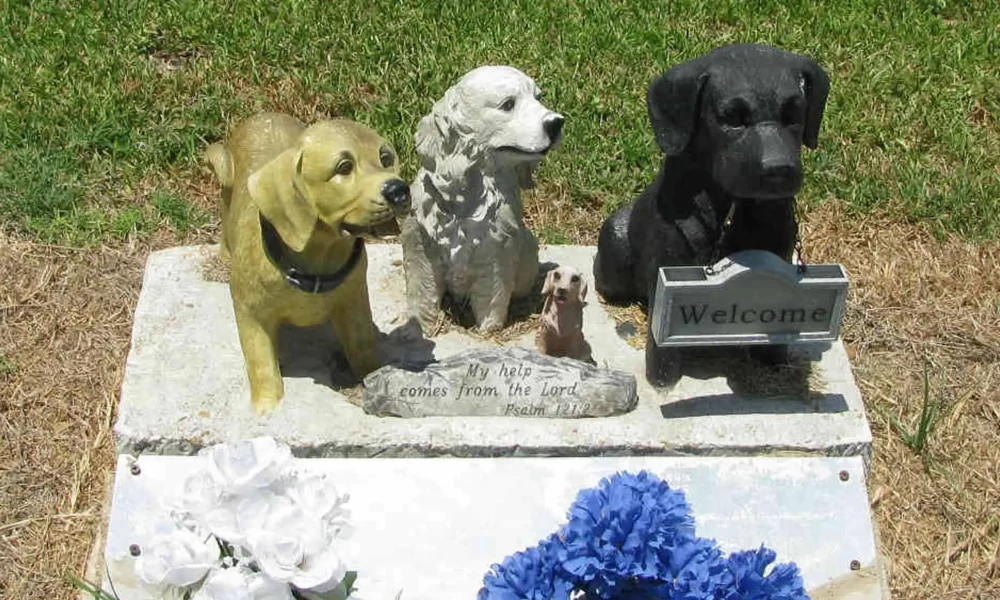 recorte cementerio mascotas.jpg