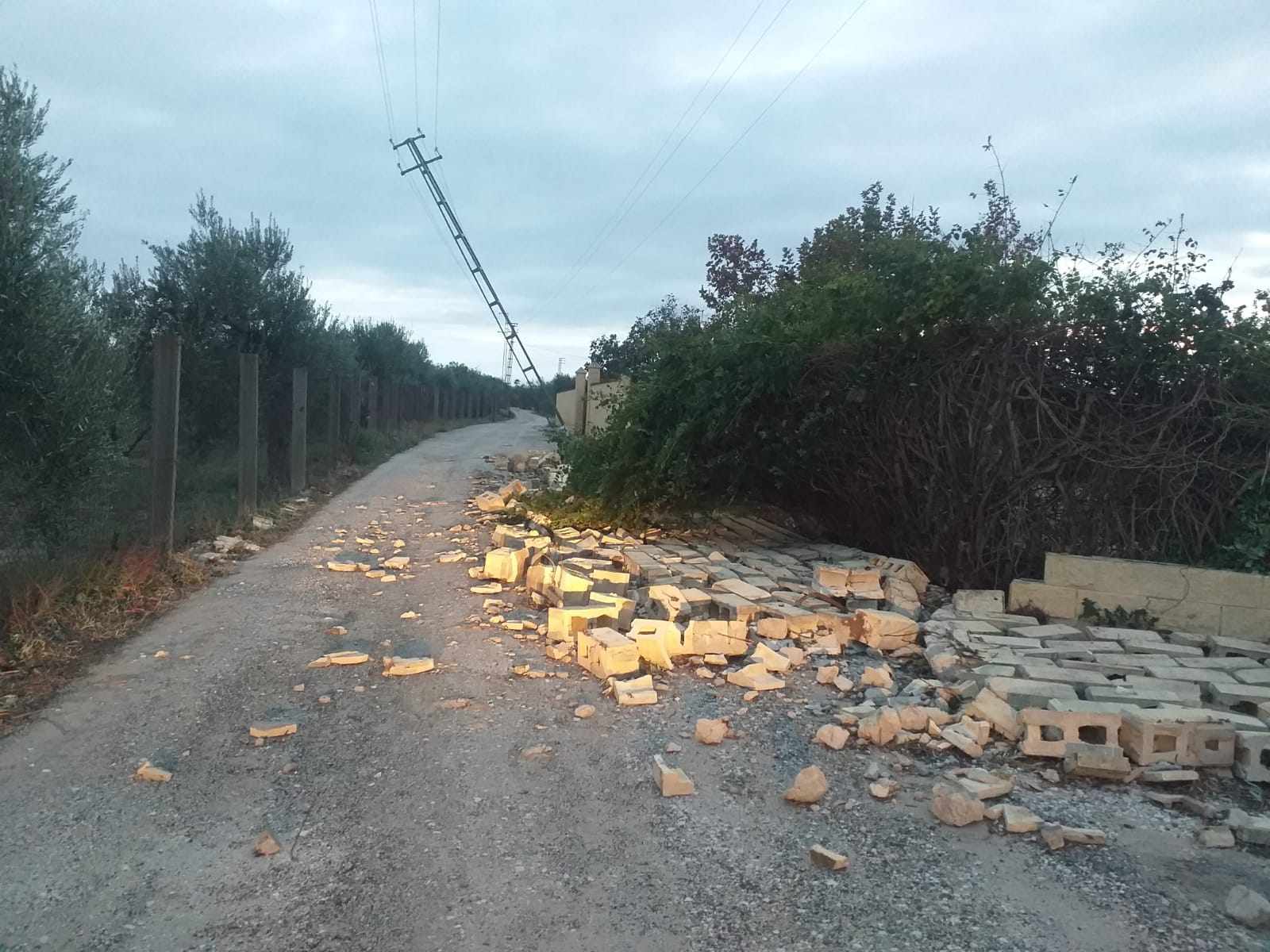 Endesa, sobre las quejas por cortes de luz: "Estamos desbordados"