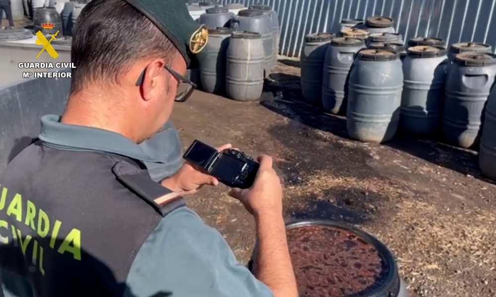 Aceitunas guardia civil