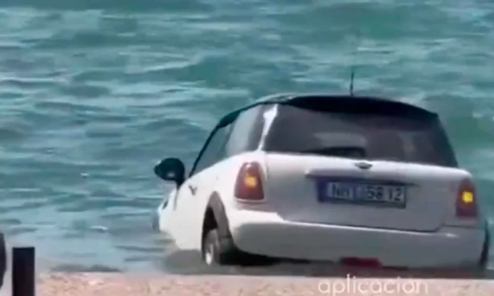 mini.jpg