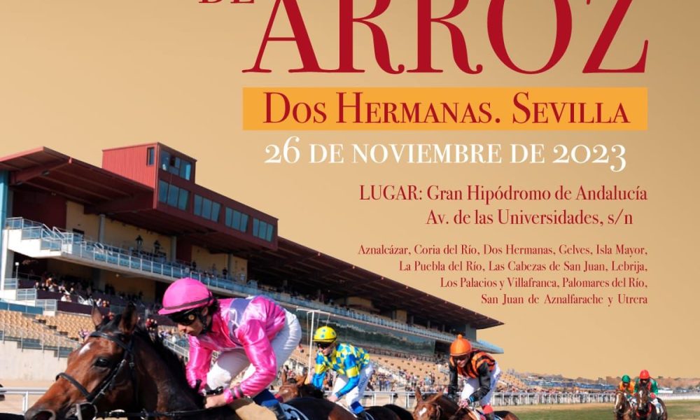 11 241123 cartel Concurso recetas arroz