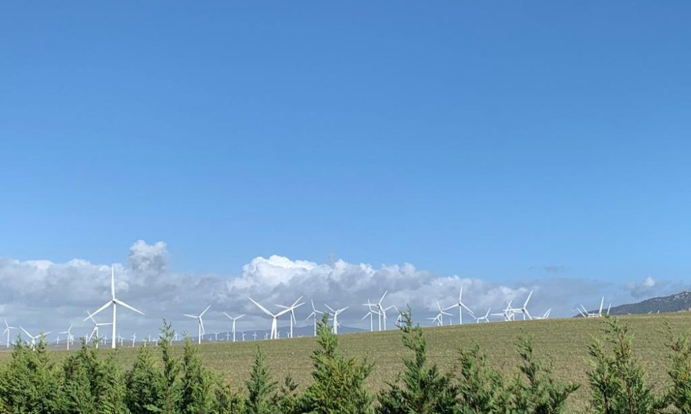Molinos viento eolicos