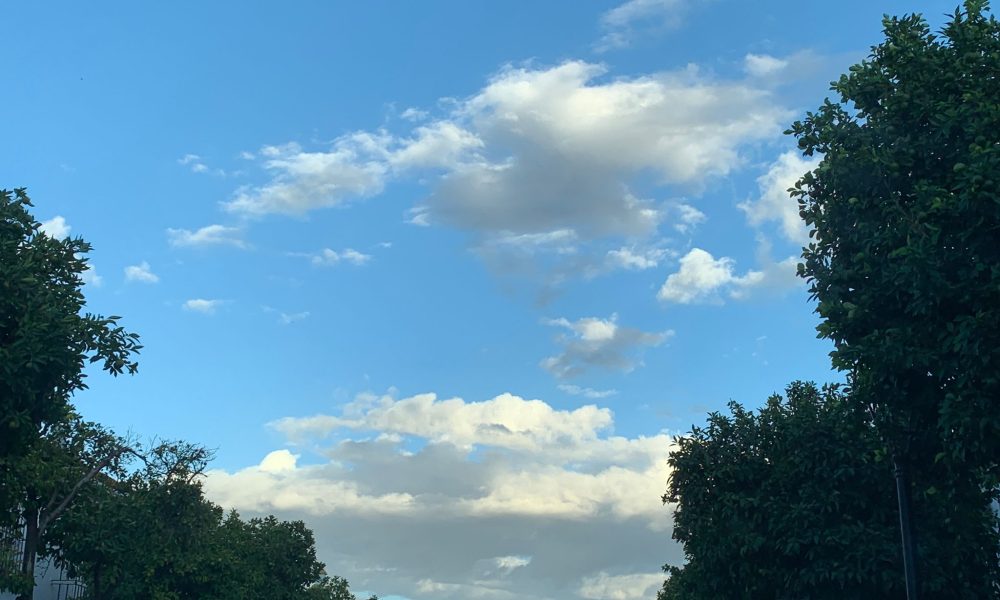 Nubes arboles nubes