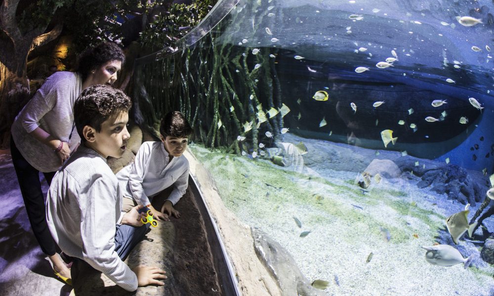 Acuario Sevilla Familia en Manglar scaled 1