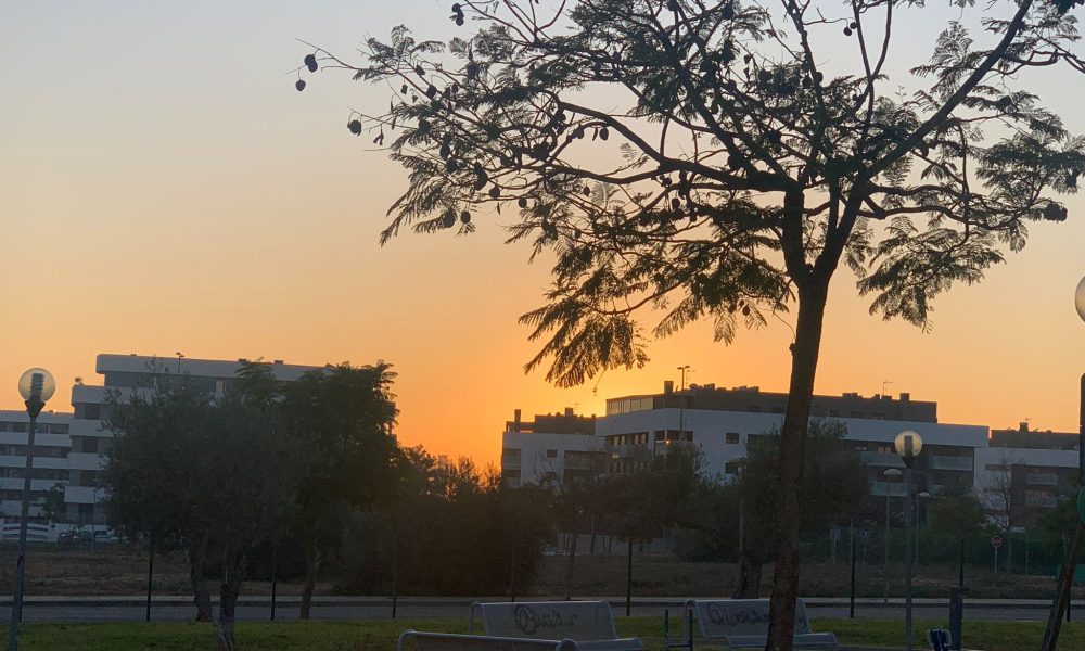 Atardecer edificios sol