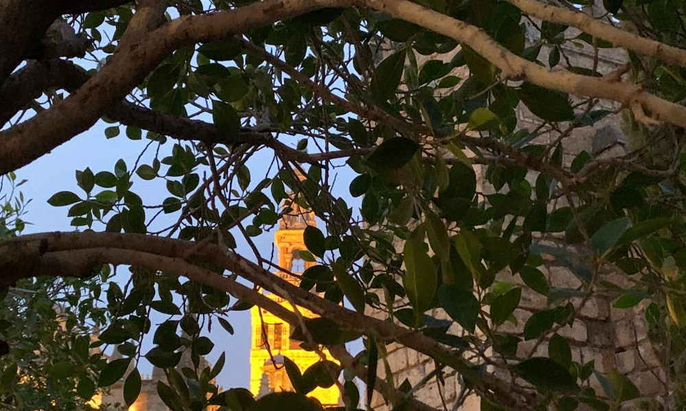 Giralda arboles