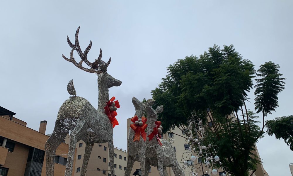 Renos Navidad