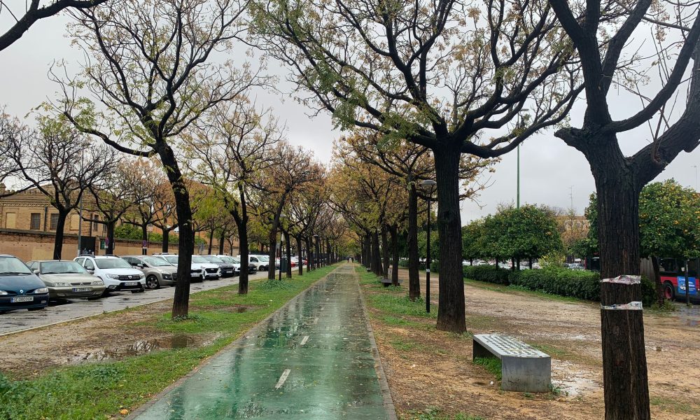 carril bici lluvia Sevilla