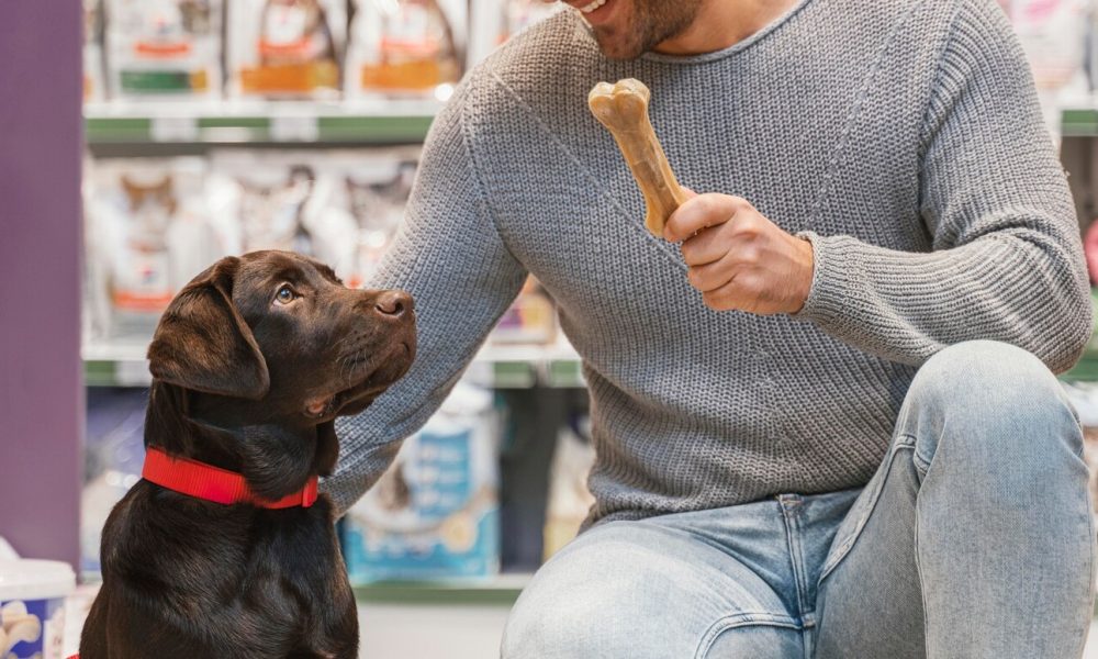alimentacion mascota