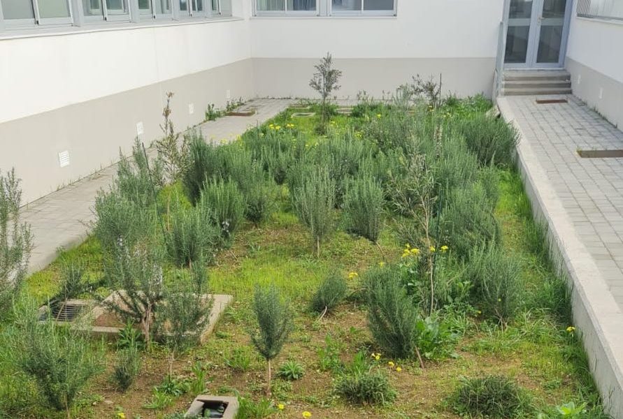 Colegio vivero