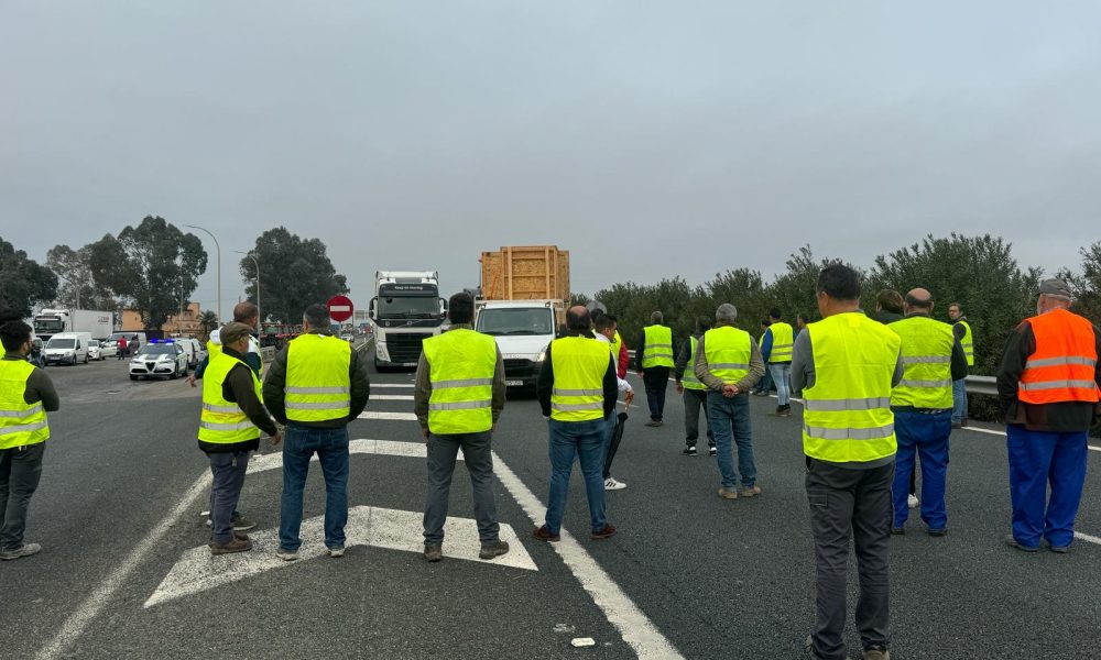 autopista corte arahal