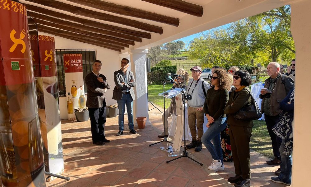el pedroso turismo
