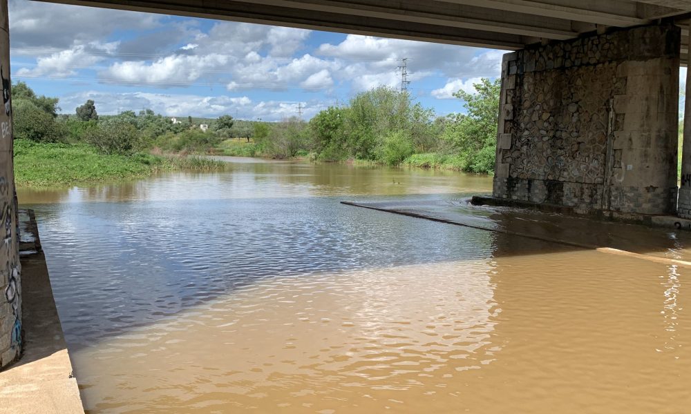 Rio Guadiamar puente