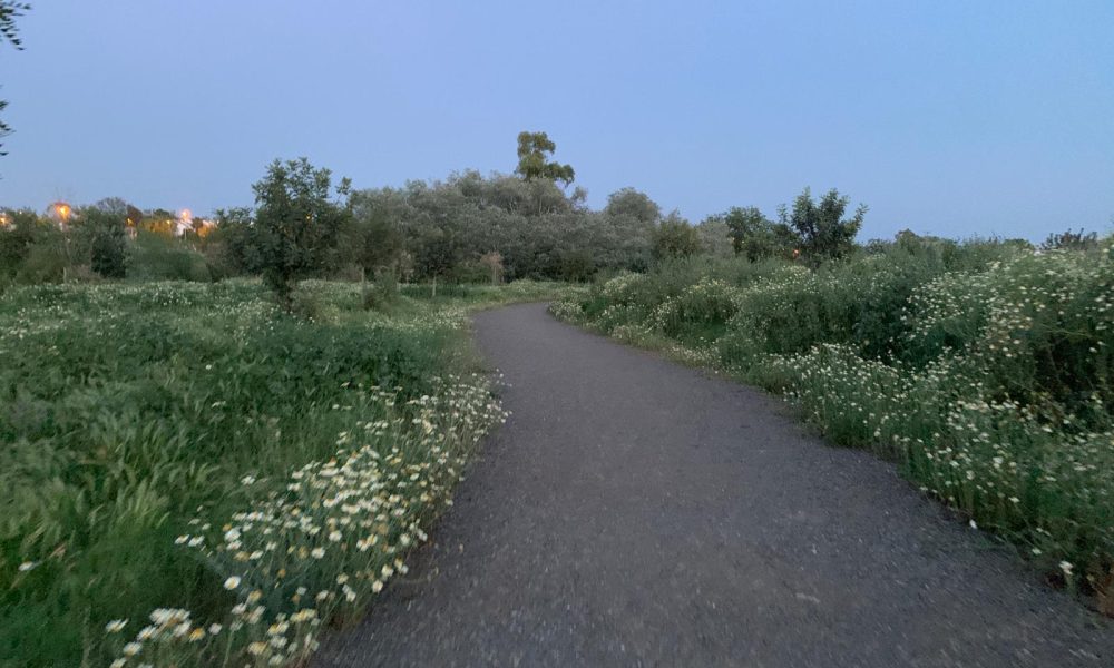 Sendero Mairena del Aljarafe