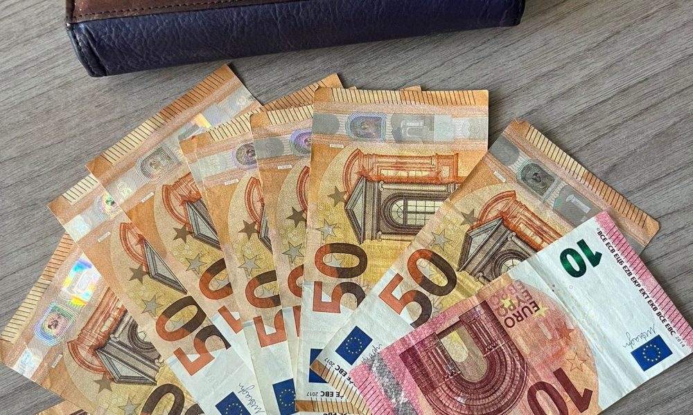 cartera dinero 1