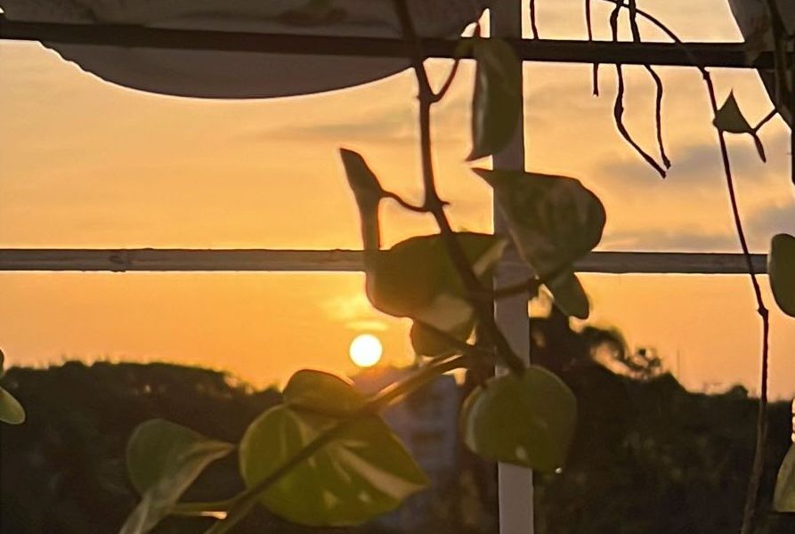 Amanecer gazcue