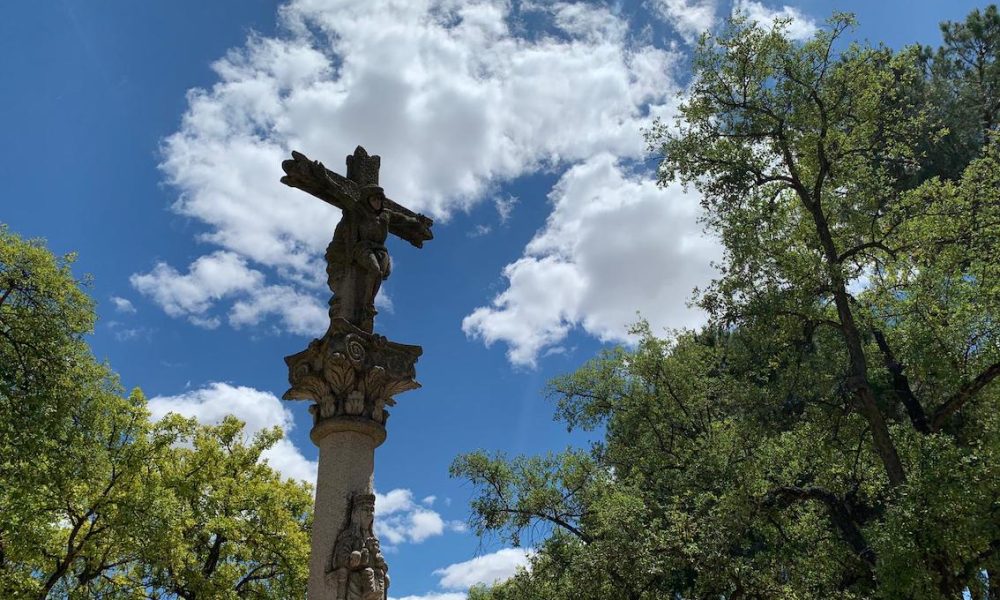 Cruz parque alamillo