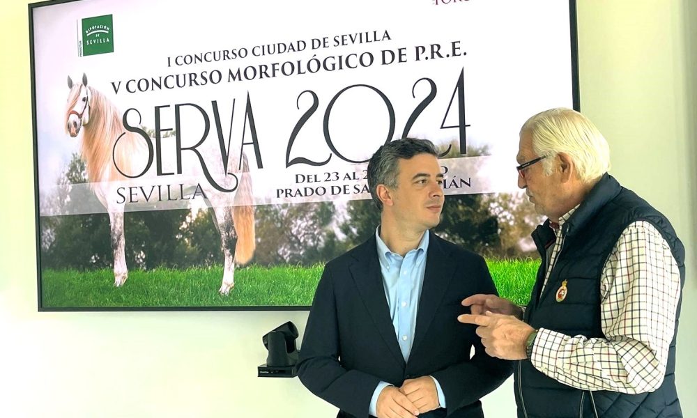 Prodetur rodrigo