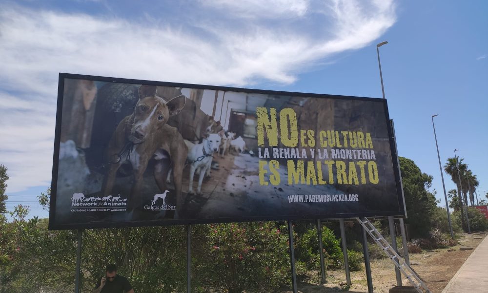 maltrato perros galgos