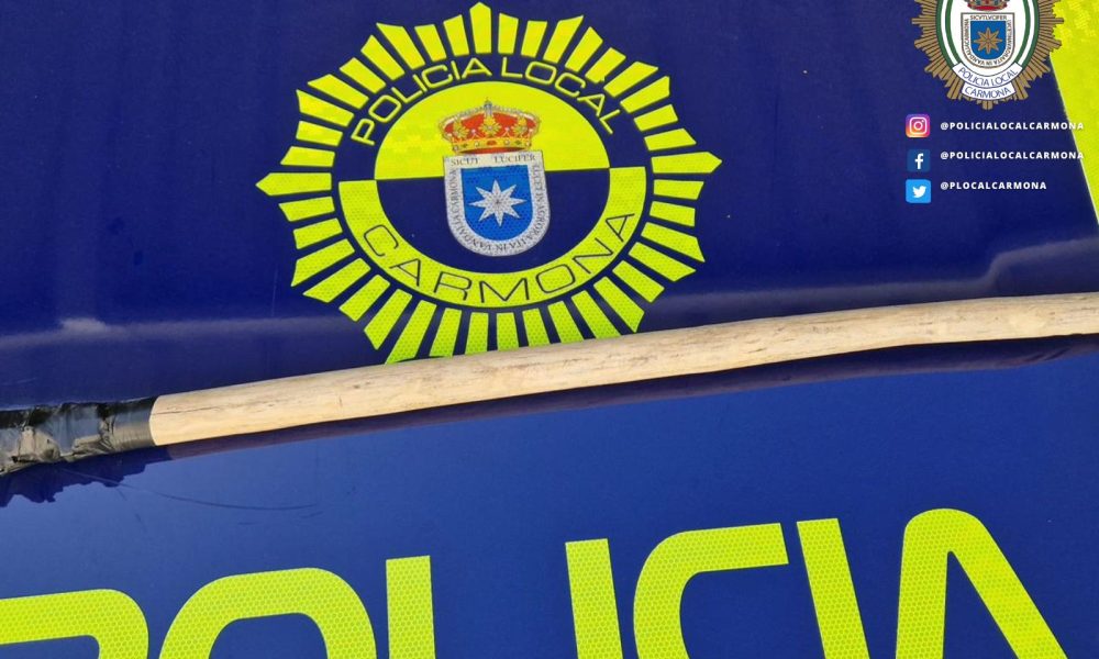 Policia carmona