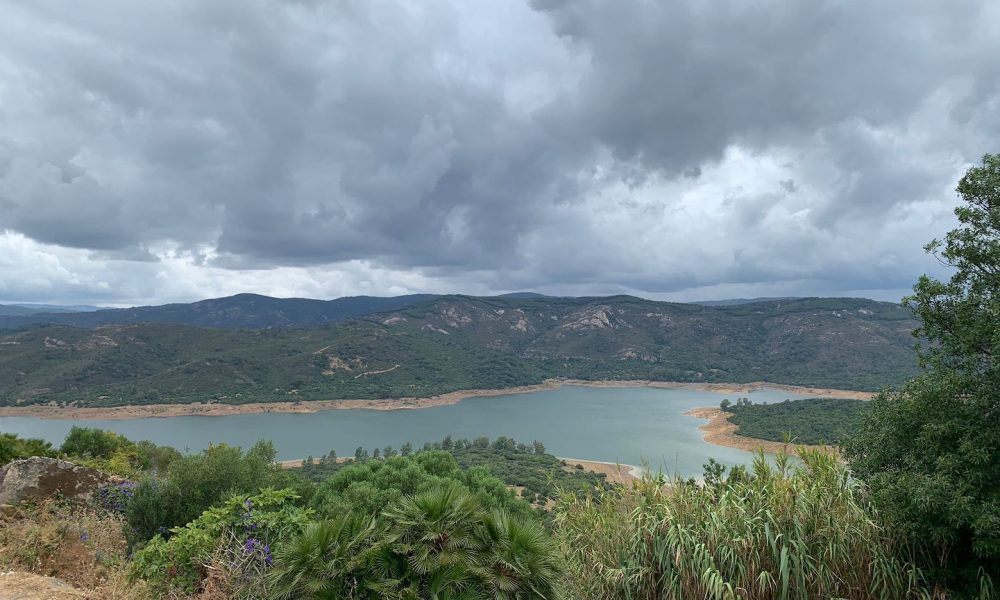 paisaje pantano castellar