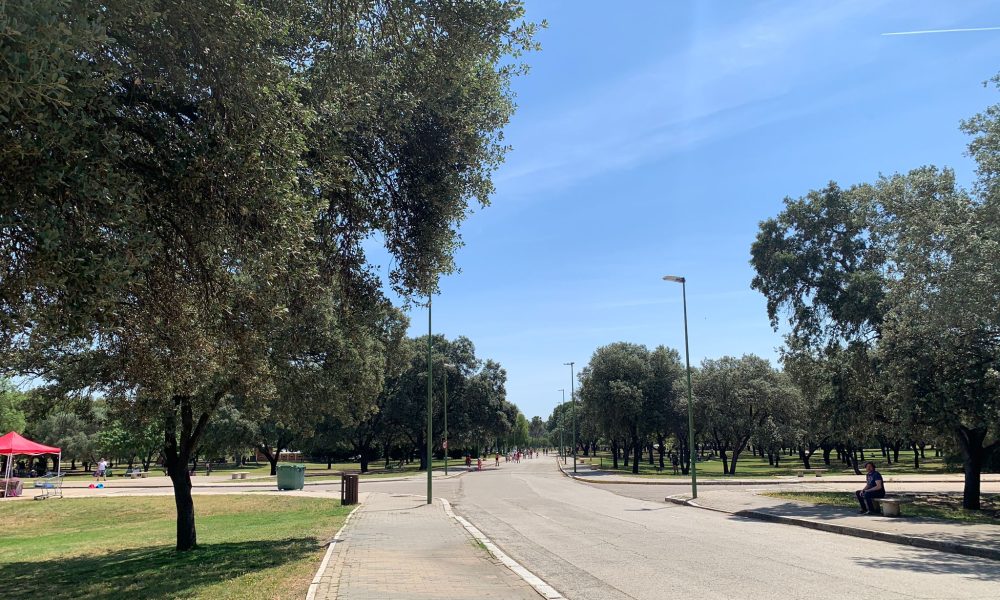 parque alamillo camino