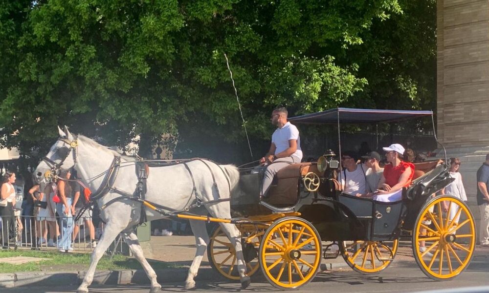 Coche de caballo