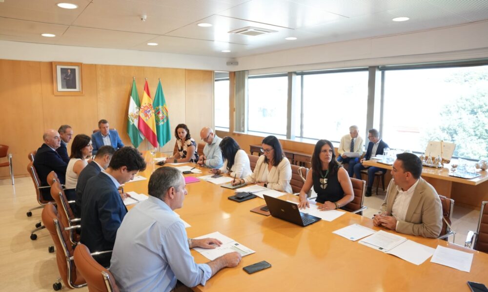 Diputacion junta gobierno