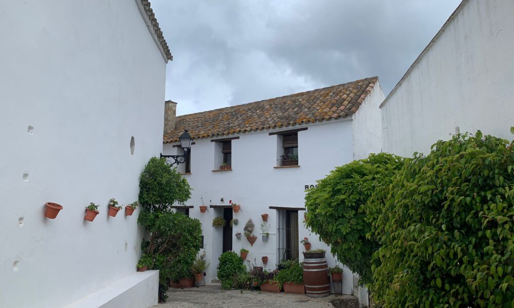 calles flores pueblo