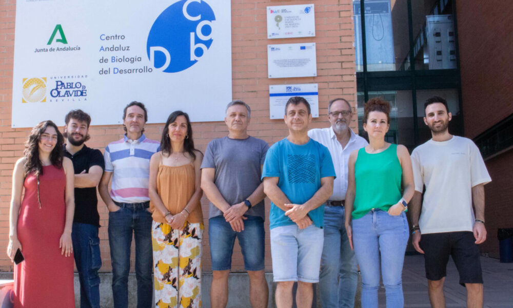mitocondriales equipo