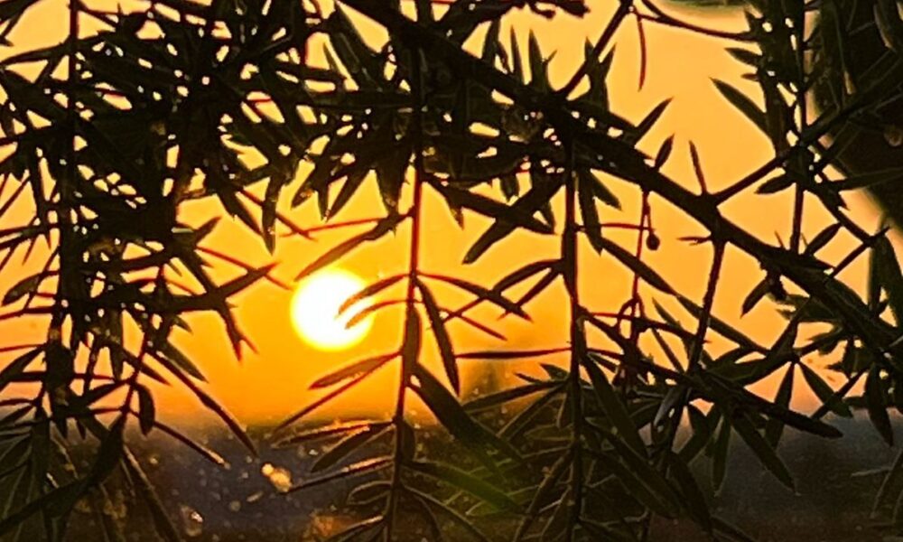 Amanecer santo domingo