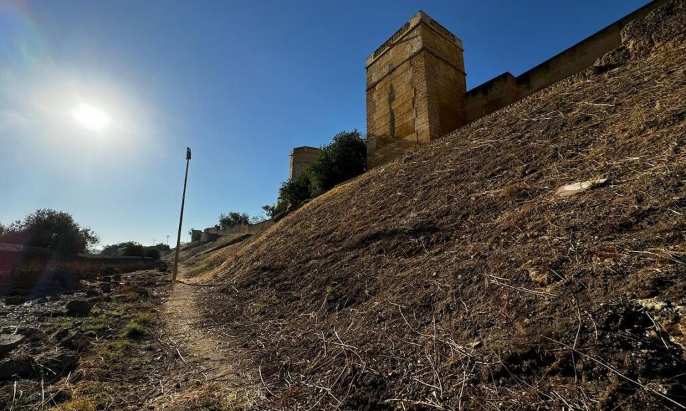 Castillo alcala ladera