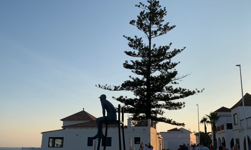 La Antilla pino