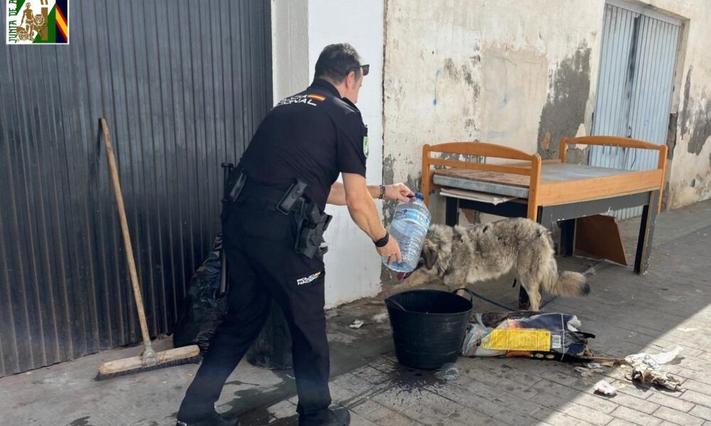 Perro policia