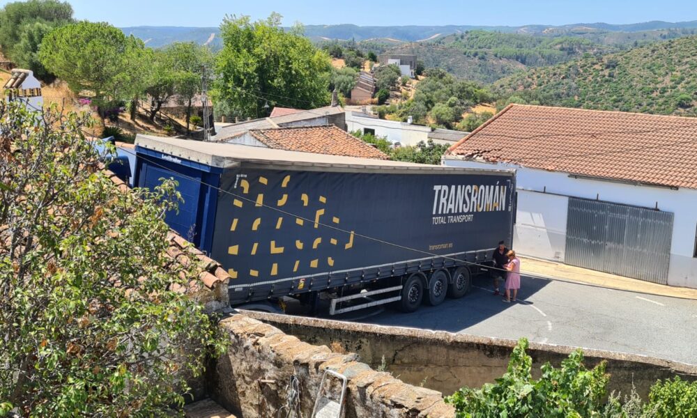 camion berrocal