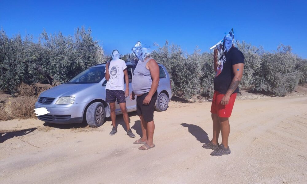 Detenidos aceitunas