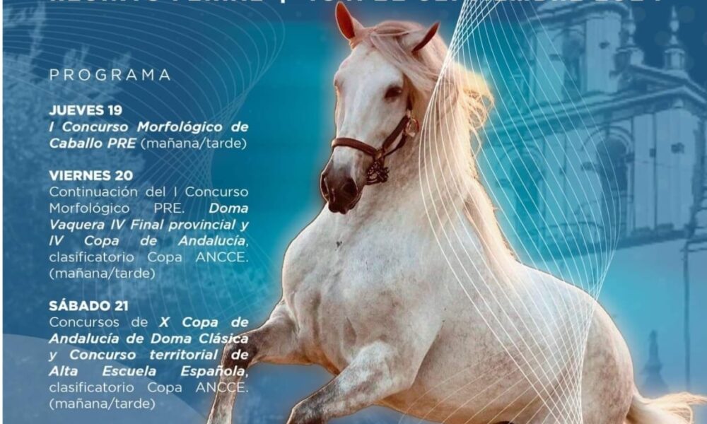concurso caballos