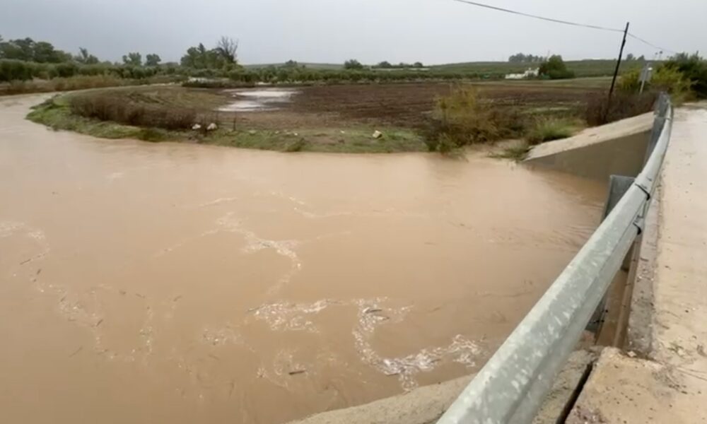 Arroyo Arahal desbordado