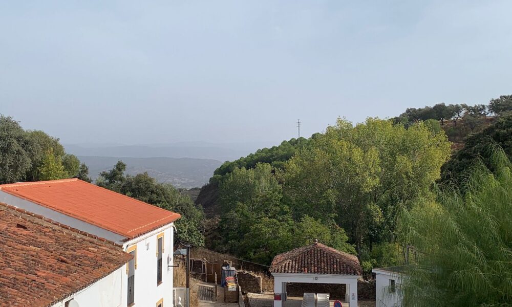 Corteconcepcion vistas