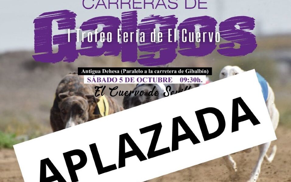 carrera galgos