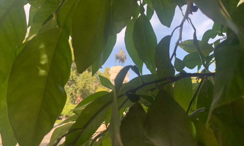 monumento sevilla plantas