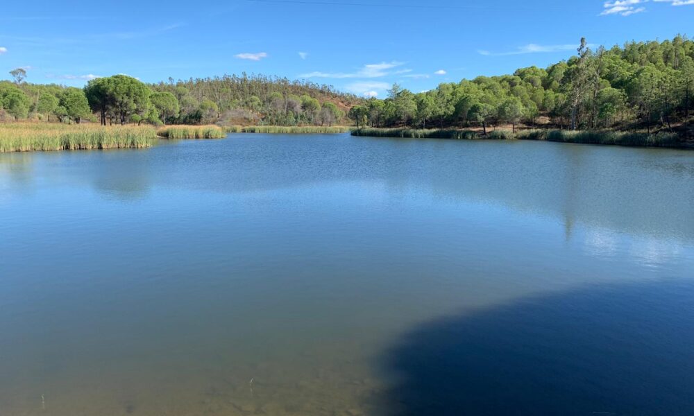 pantano zalamea